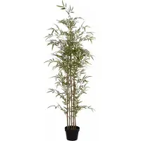 Vente-unique Kunstpflanze Mucuri Grün Naturfarben Hell 50 cm