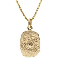 Trendor 15382-07 Krebs Sternzeichen Gold 333 / 8K mit vergoldeter Silberkette