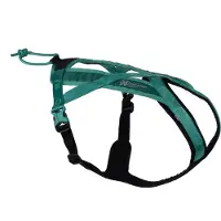 Non-Stop Dogwear Geschirr Rush Harness teal, Größe: 4