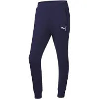 Puma Jogginghose Teamgoal Casuals
