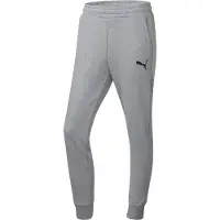 Puma Herren Sporthose teamGOAL Casuals Pants