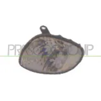 PRASCO Blinkleuchte TY0874014