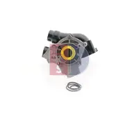 AKS Dasis Wasserpumpe 570046N