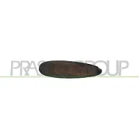 PRASCO Blinkleuchte FT1484039