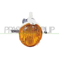 PRASCO Blinkleuchte DW3224003