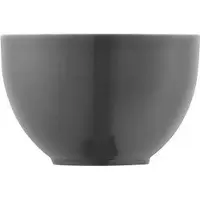 Thomas 10850-408532-15456