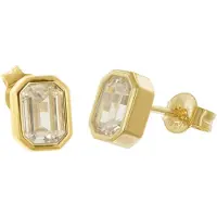Trendor 68592 Damen-Ohrringe Gold auf 925 Silber Zirkonia Ohrstecker