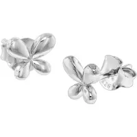 Trendor 08769 Damen Ohrringe Silber 925 Ohrstecker Schmetterling
