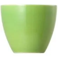 Thomas 10850-408527-15520