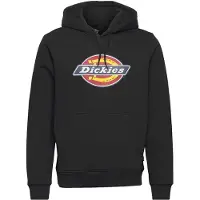 Dickies Kapuzenpullover Icon Logo Hoodie Herren Black-M