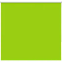 vidaXL Verdunkelungsrollo Grün 150x130cm Stoffbreite 146,6cm Polyester