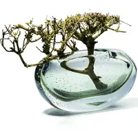 Philippi Amara Vase, quer