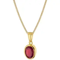 Trendor 68402 Granat-Anhänger Gold 333/8K mit vergoldeter Silberkette