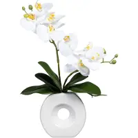 Creativ Green Kunstorchidee "Phalaenopsis" in Keramikvase