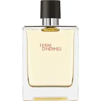 Hermès Paris Terre D'Eau de Toilette 100 ml