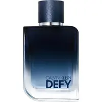 Calvin Klein Defy Eau de Parfum 100 ml