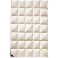 Billerbeck 100 BELVEDERE