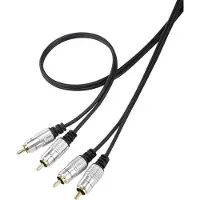 Speaka Professional Professional SP-7870144, 2 x RCA, Männlich, 2 x RCA, Männlich, 1 m, Schwarz