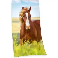 MCU Badetuch "Pferd", (1 St., Badetuch 75 x 150 cm), mit Pferdemotiv