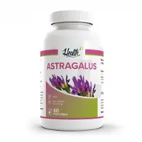 Health + Astragalus 90 St Kapseln