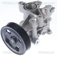TRISCAN Wasserpumpe 8600 69012