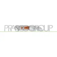 PRASCO Blinkleuchte VG6204313