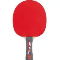 PRO TOUCH Tischtennis-Schläger Pro 5000