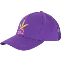 Chiemsee Baseball Cap , lila (dewbery), Baumwolle, Caps Baseball Cap