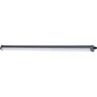 Philips Feuchtraumleuchten, Oberfläche, 1 Glühbirne(n), 6500 K, IP65, Grau
