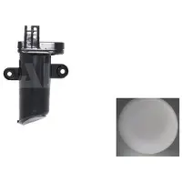 Alkar Blinkleuchte [Hersteller-Nr. 6205094] für Cupra, Seat
