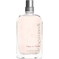 L'Occitane Cherry Blossom, Frauen, 75 ml, Nicht nachfüllbare Flasche, Grapefruit, Limette, Orange, Gardenia, Jasmin, Iris, Moschus