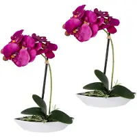 Creativ Green Kunstorchidee "Phalaenopsis" 2er Set, in Kunststoffschale