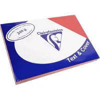 LMG Clairefontaine 2773C Deckblätter - Rückwände, Karton mit Lederstruktur, DIN A4, 240 g/m², 100 Stück