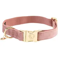 Kentucky Velvet Hundehalsband