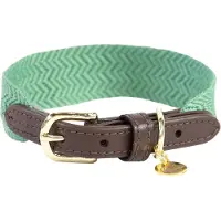 Kentucky Dogwear Jacquard Hundehalsband