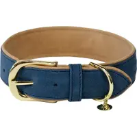Kentucky Hunde Halsband vegan Leder
