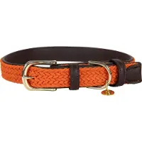 Kentucky Nylon Plaited Hundehalsband