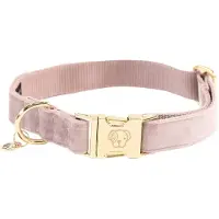 Kentucky Velvet Hundehalsband