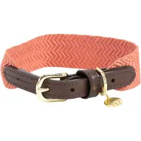 Kentucky Dogwear Jacquard Hundehalsband