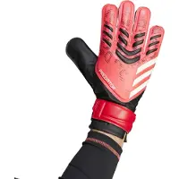 Adidas Predator Training Torwarthandschuhe