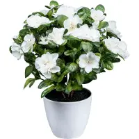 Creativ Green Kunstblume "Azaleenbusch"