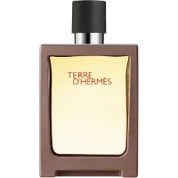 Hermès Paris Hermes Terre D'hermes Eau De Toilette 30ml Spray