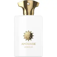 Amouage Amourage Honour Man EDP 100 ml