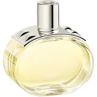 Hermès Paris - Hermes Barenia Eau de Parfum Spray 100 ml Damen