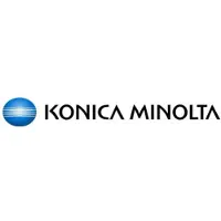Minolta DV-313K - Schwarz - original - Entwickler-Kit - für bizhub C308, C368 (A7U403D)