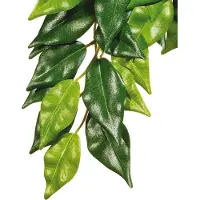 Hagen Exo Terra - Ficus M - Green