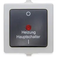 Heinrich Kopp Nautic Aufputz-Feuchtraum Heizungshauptschalter 2-polig beleuchtet mit Linse