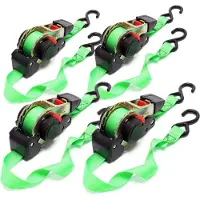 Wiltec Automatik Spanngurt Set