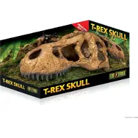 Exo Terra Versteck Für T-rex-schädelfossilien