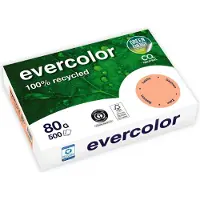 Clairefontaine Kopierpapier EVERCOLOR, farbig, DIN A4, 80 g/m², lachsrosa, 500 Blatt
